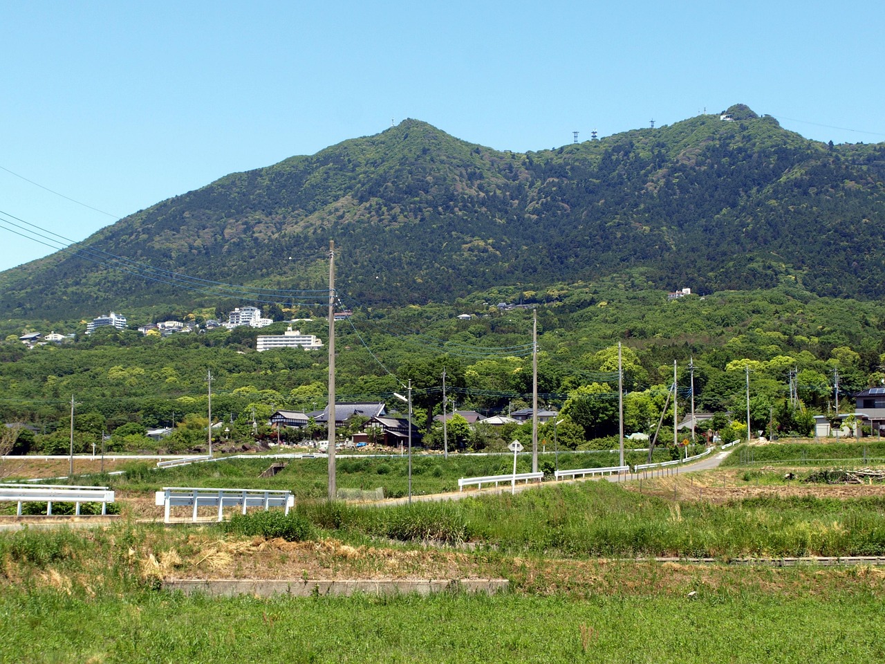 筑波山の紫陽花の見頃はいつですか？