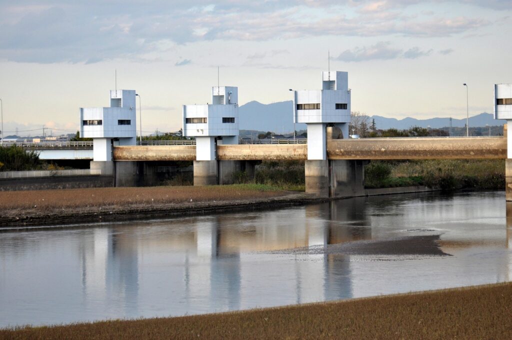 筑波山の紫陽花はいつ見頃になるの？