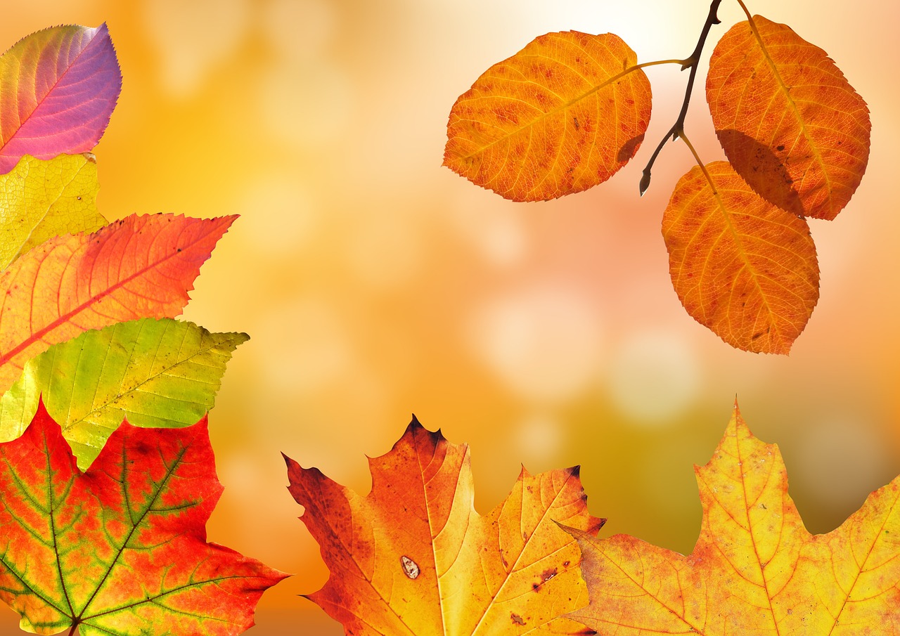 群馬の赤城山で楽しむ大沼の紅葉の見どころは？