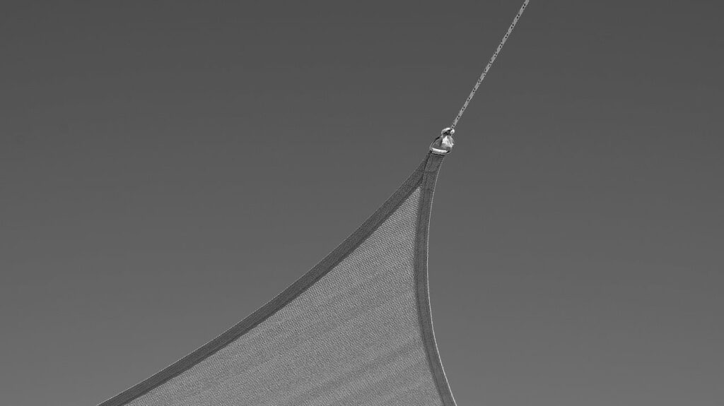 奄美大島で楽しむマングローブボートフォトの魅力とは？