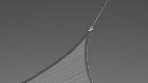 奄美大島で楽しむマングローブボートフォトの魅力とは？