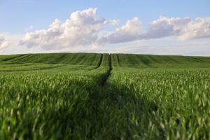 宮古島の前浜ビーチで楽しむ美しいサンセットの魅力は？