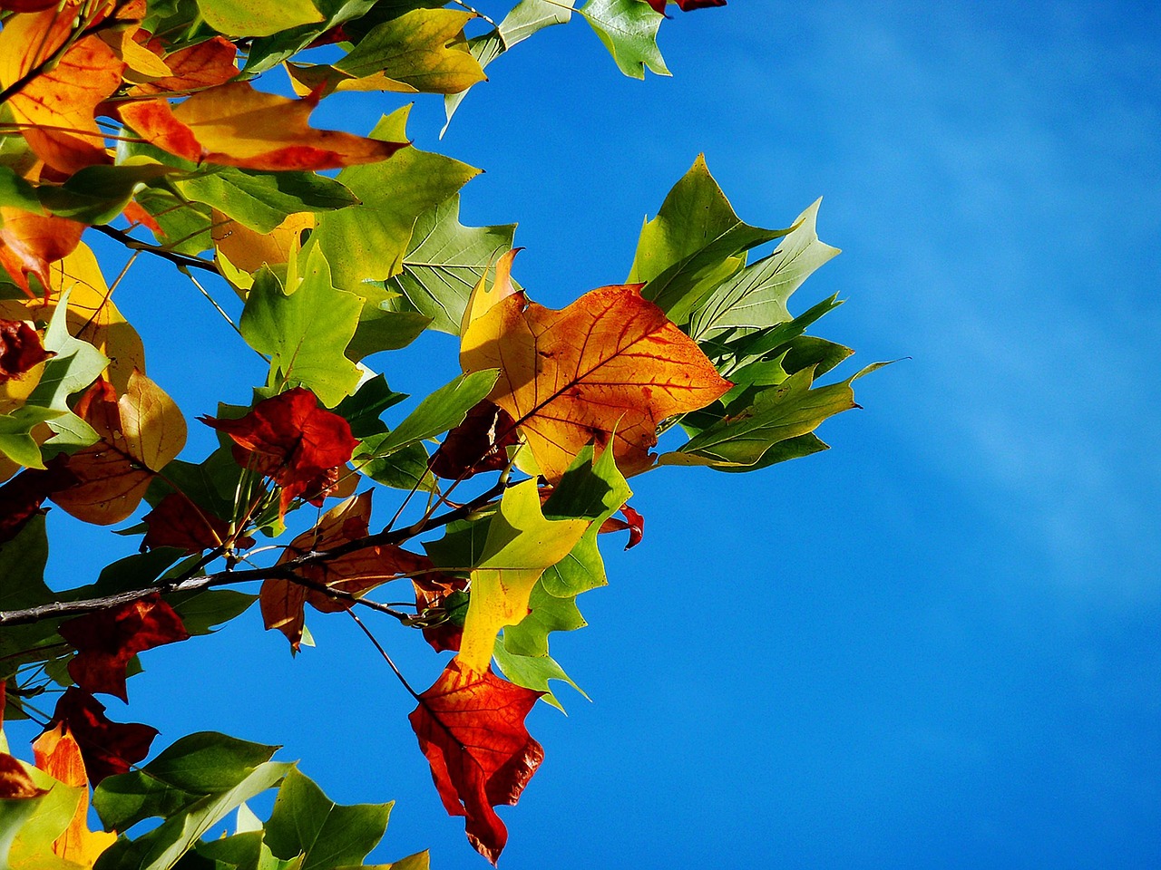 赤城山の紅葉時期はいつがベストなの？