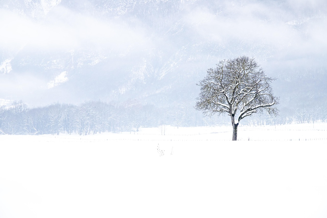 白川郷雪景色を楽しむためのベストシーズンは？