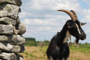 ロケーションフォトを海辺で撮影する際のポイントは？