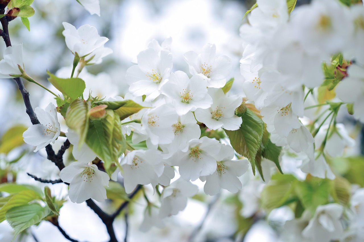 奄美大島でのロケーションフォト撮影におすすめのスポットは？