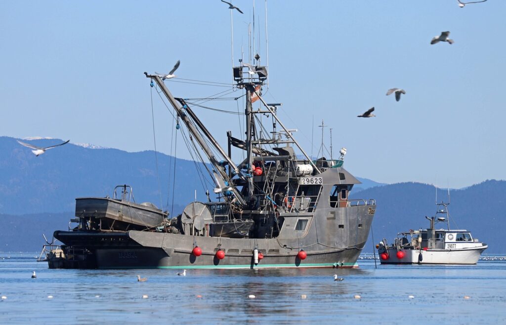 フォトウェディングをお得に楽しむ格安プランは？