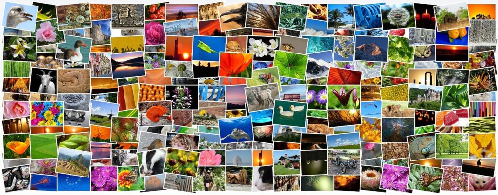 ロケフォトを使ったアルバム作成のポイントは？