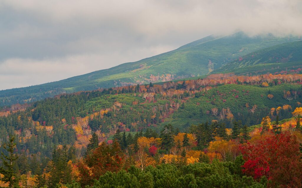 北海道でのロケフォトウェディングの魅力とは？