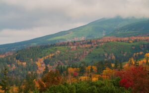 北海道でのロケフォトウェディングの魅力とは？