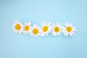 ロケフォトの著作権について知っておくべきことは？