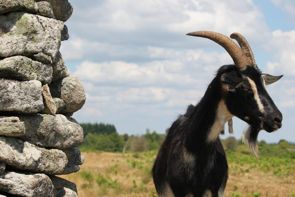 前撮りにおすすめの安いロケーションフォトプランは？