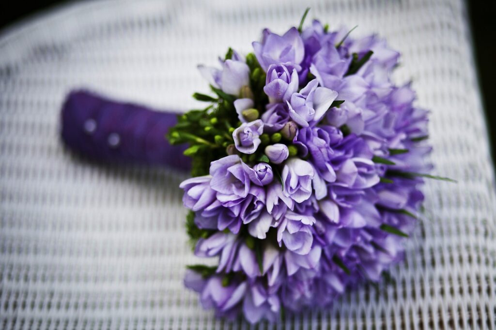 フォトウェディングのロケーションに関する口コミや評判は？