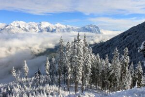 ロケーションフォトで冬の雪景色を楽しむためのベストスポットは？