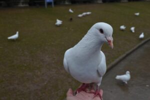 ロケ依頼の口コミは本当に役立つ？失敗しないためのポイントとは？