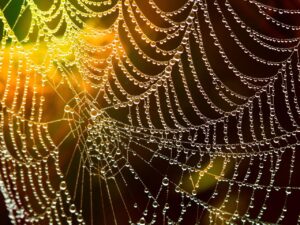 フォトウェディングのWEB予約はどうやってするのがベスト？