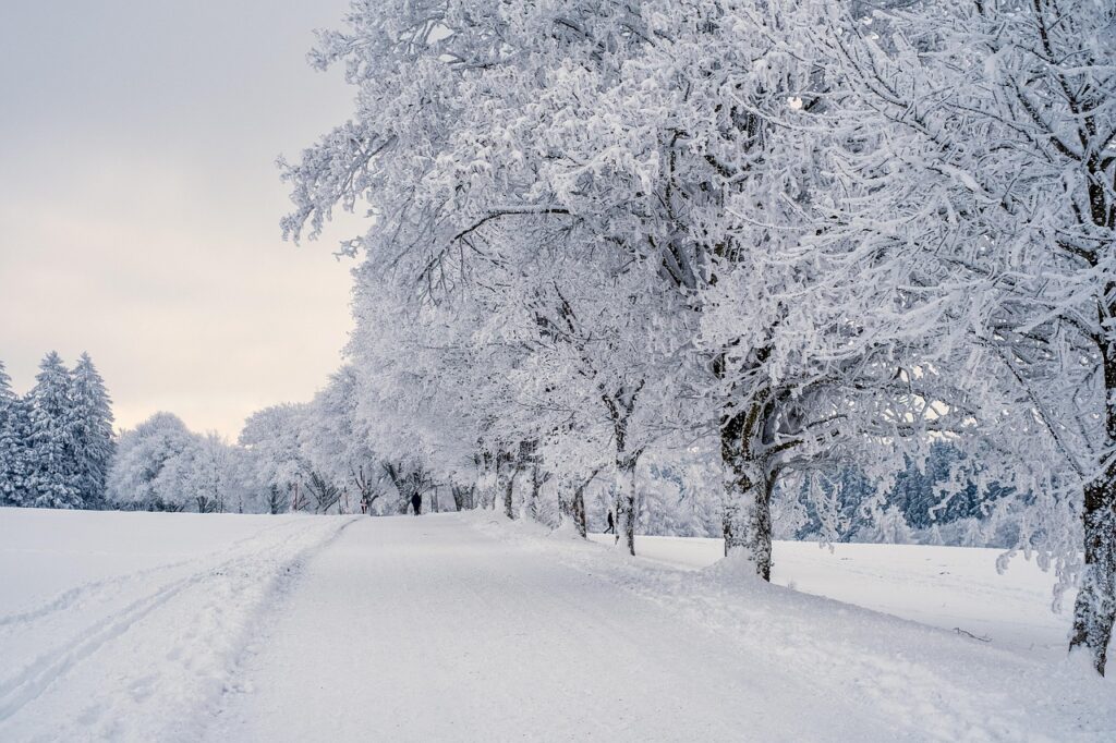 ロケーションフォトで雪の中を美しく撮影するコツは？