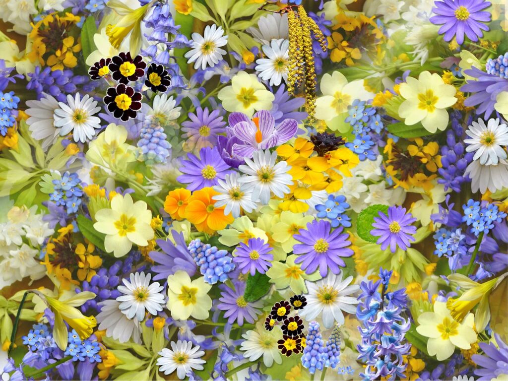 ロケーションフォトの新婚体験はどんな感じ？