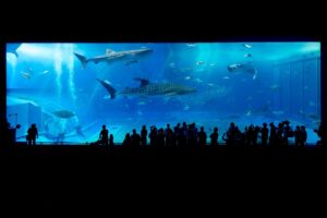 沖縄でのフォトウェディング、おすすめのスポットはどこ？